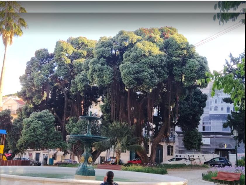 Alegramente Apartman Lisboa Kültér fotó